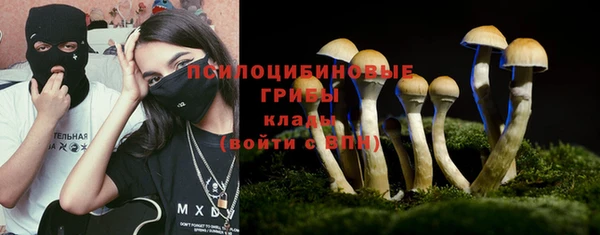 амф Белоозёрский