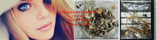 амф Белоозёрский