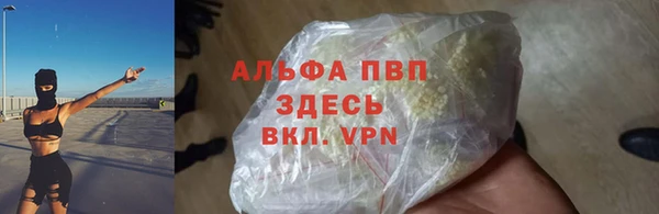 амф Белоозёрский